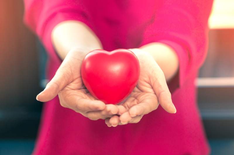 Holding toy heart out in palm of hands. Hearty Health Checks available at Narangba Station Medical Centre.