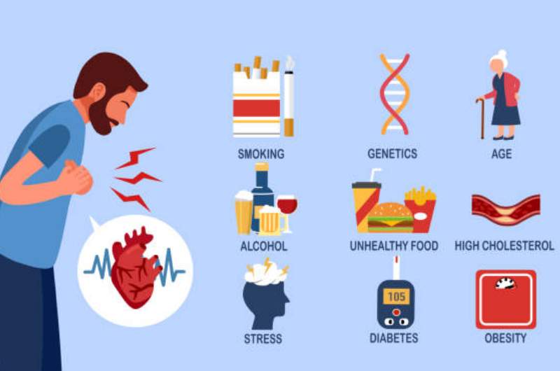 Heart Disease Risk Factors Infographic. Healthy Heart Health Checks available at Narangba Station Medical Centre.