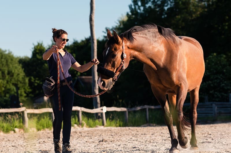 QRIC Medical Certificates